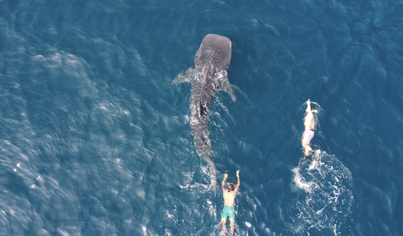 An Unforgettable Adventure Exploring Oman’s Splendid Seas 